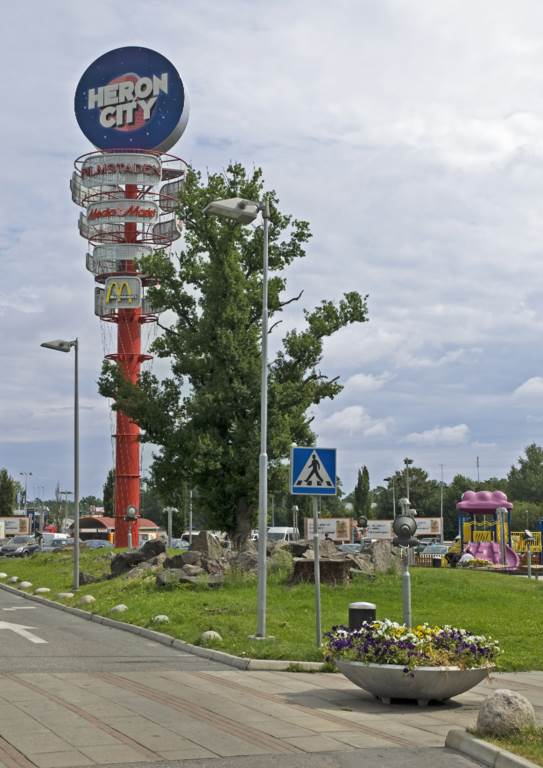 41