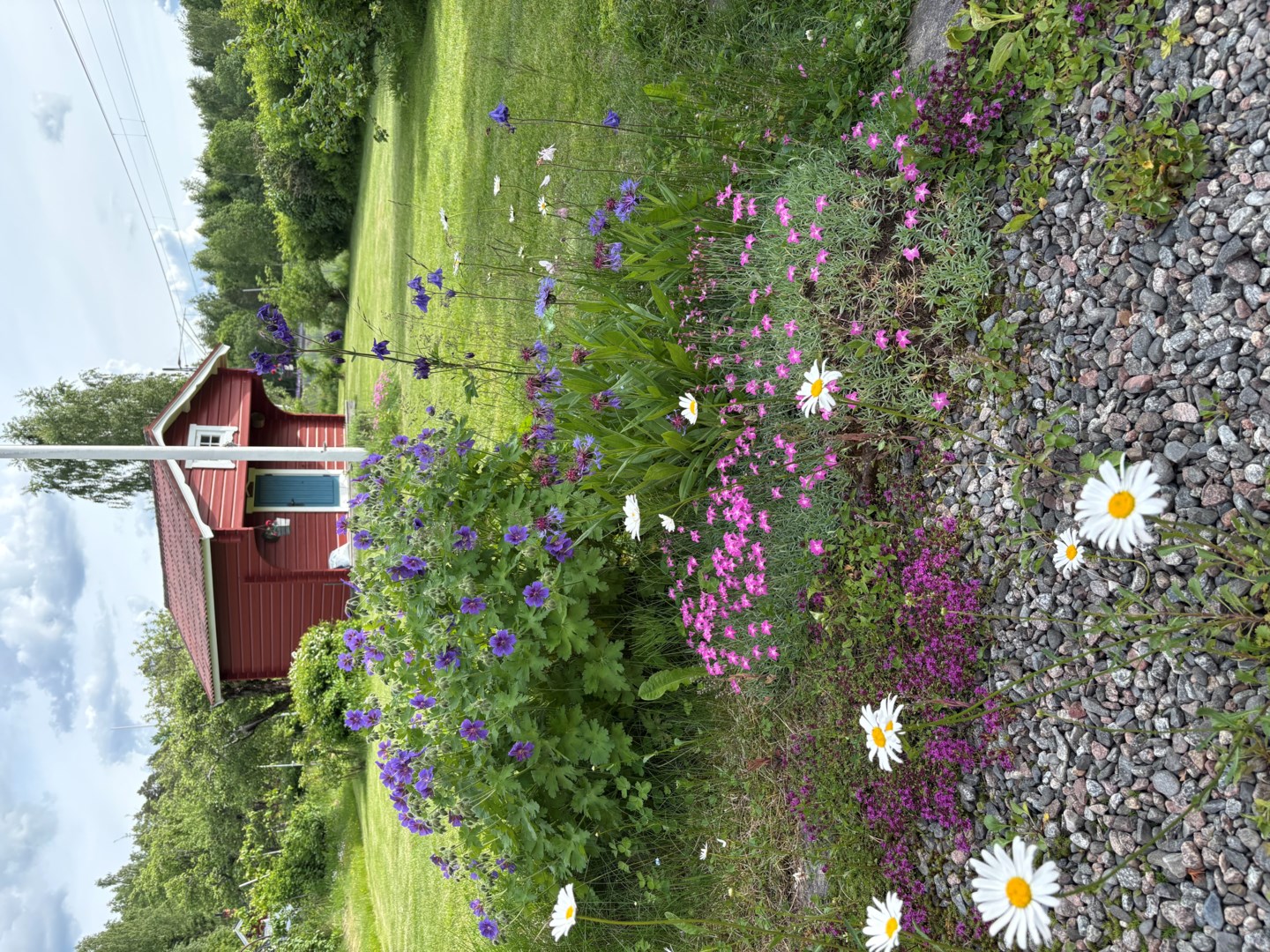 36