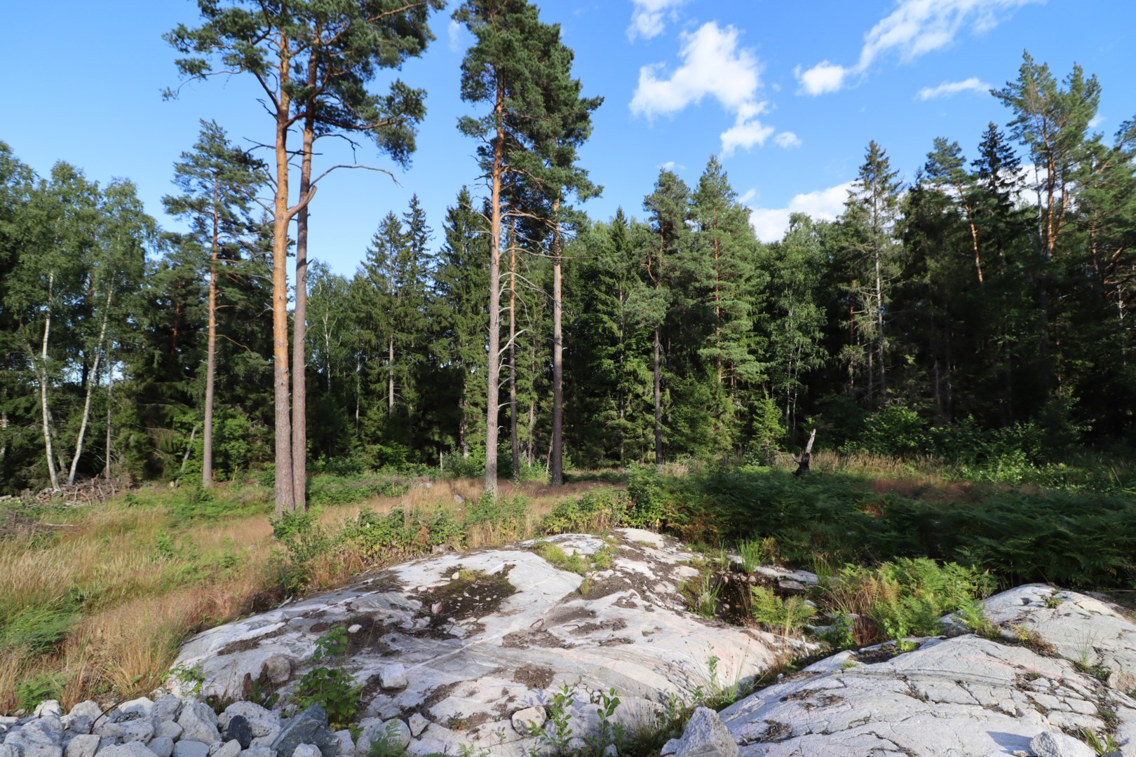 Tomt i Rö, Norrtälje kommun, Sverige, Oskarsborgsvägen 25