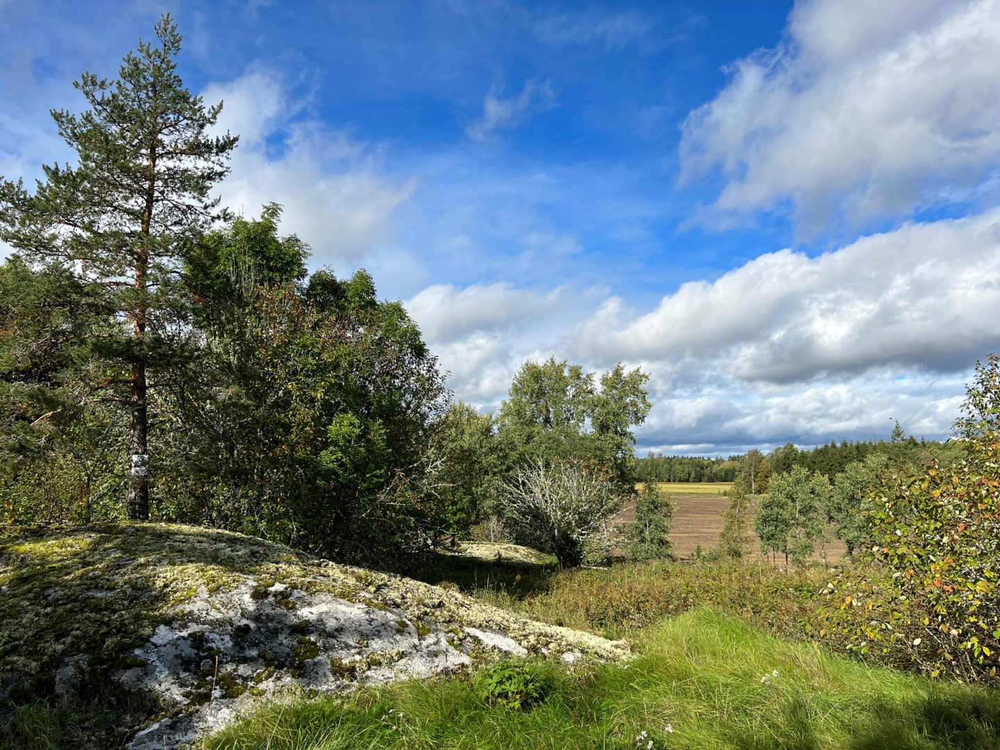 Tomt i Fasterna, Norrtälje kommun, Sverige, Rörsbyvägen 51