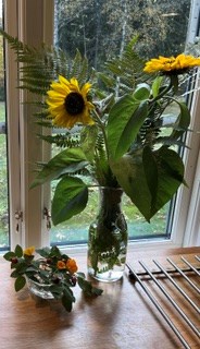 50