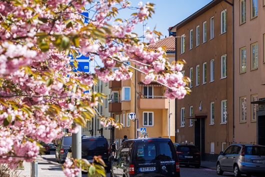 Bostadsrätt i Nedre Gärdet - Östermalm, Stockholm, Brantingsgatan 19
