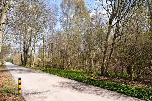 Tomt i Norra Håslöv, Vellinge, Skåne, Norra Håslövs Byväg