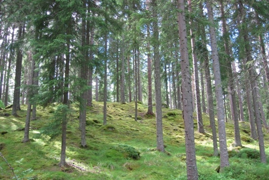 Gods och gårdar i Gusselby, Lindesberg, Aspa