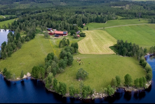 Gods och gårdar i Ramsberg, Örebro, Lindesberg, Gammelbo 472, Rävnäs
