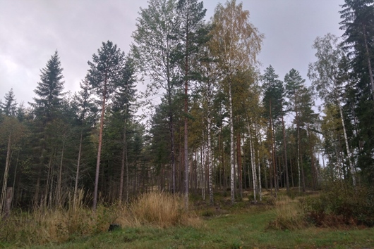 Gods och gårdar i Storå, Örebro, Lindesberg, Kallernäs Ödalen 184