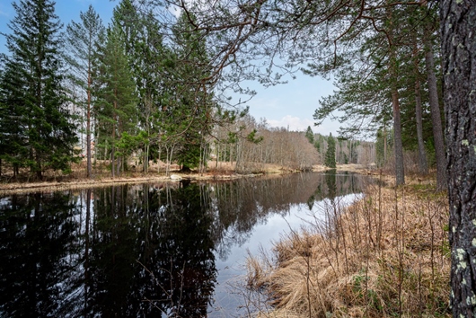 Villa i Ställdalen, Örebro, Ljusnarsberg, Krokforsvägen 25