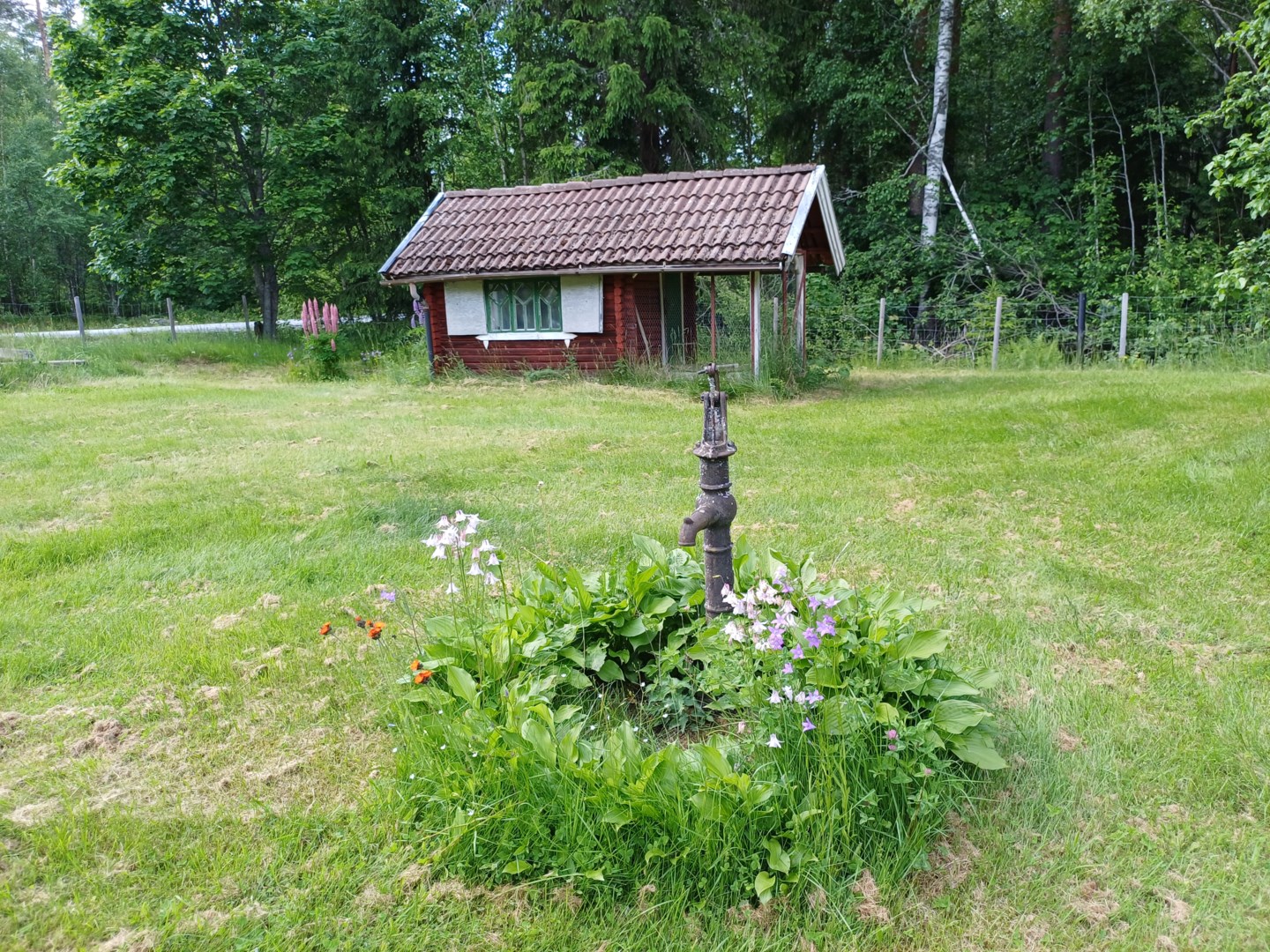35