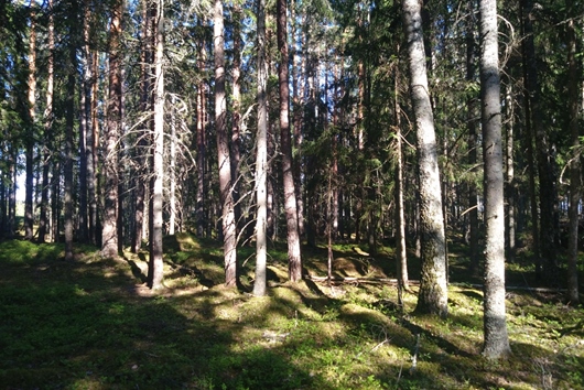 Gods och gårdar i Lindesberg, Örebro, Strutstäppan Aspensäng