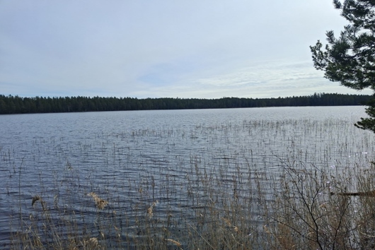 Gods och gårdar i Storå, Örebro, Lindesberg, Rösjön, Ingelshyttan
