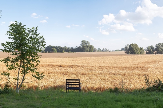 Villa i Anderslöv, Skåne, Trelleborg, Landsvägen 2322