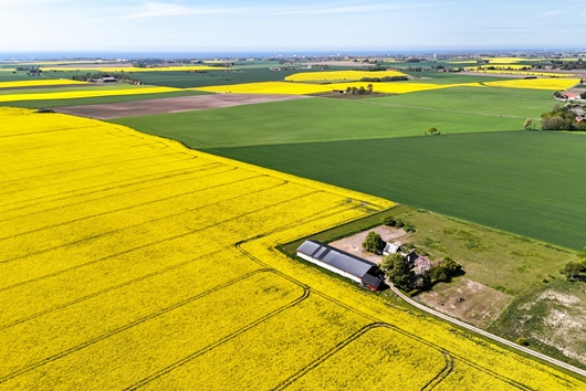 Villa i Västra Virestad, Trelleborg, Skåne, Västra Virestads byaväg 75-11