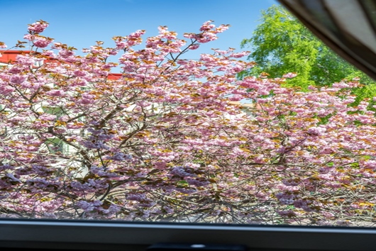 Bostadsrätt i Fålhagen, Uppsala, Botvidsgatan 16A