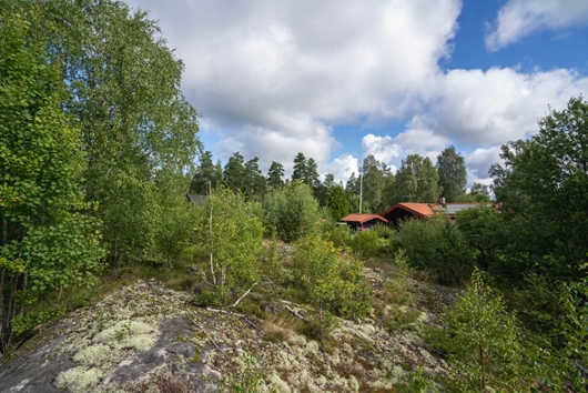 Tomt i Burvik, Knutby, Uppsala, Rävens väg 4