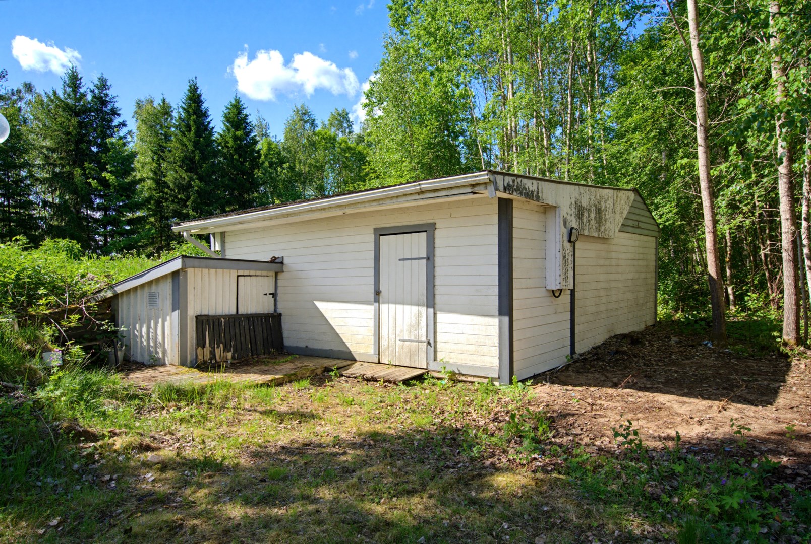 29