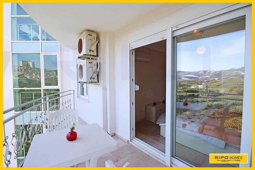 26