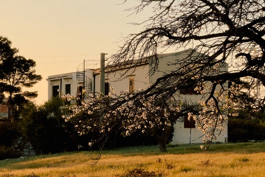 Gods och gårdar i Sicilia, Montallegro, Sicilien, Agrigento, 92010 Montallegro AG, Italien