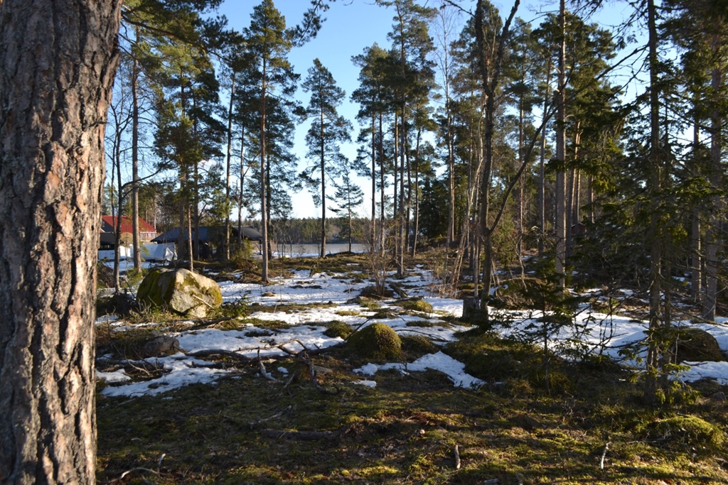 Tomt i Björhövda, Norrtälje kommun, Sverige, Björbovägen 6