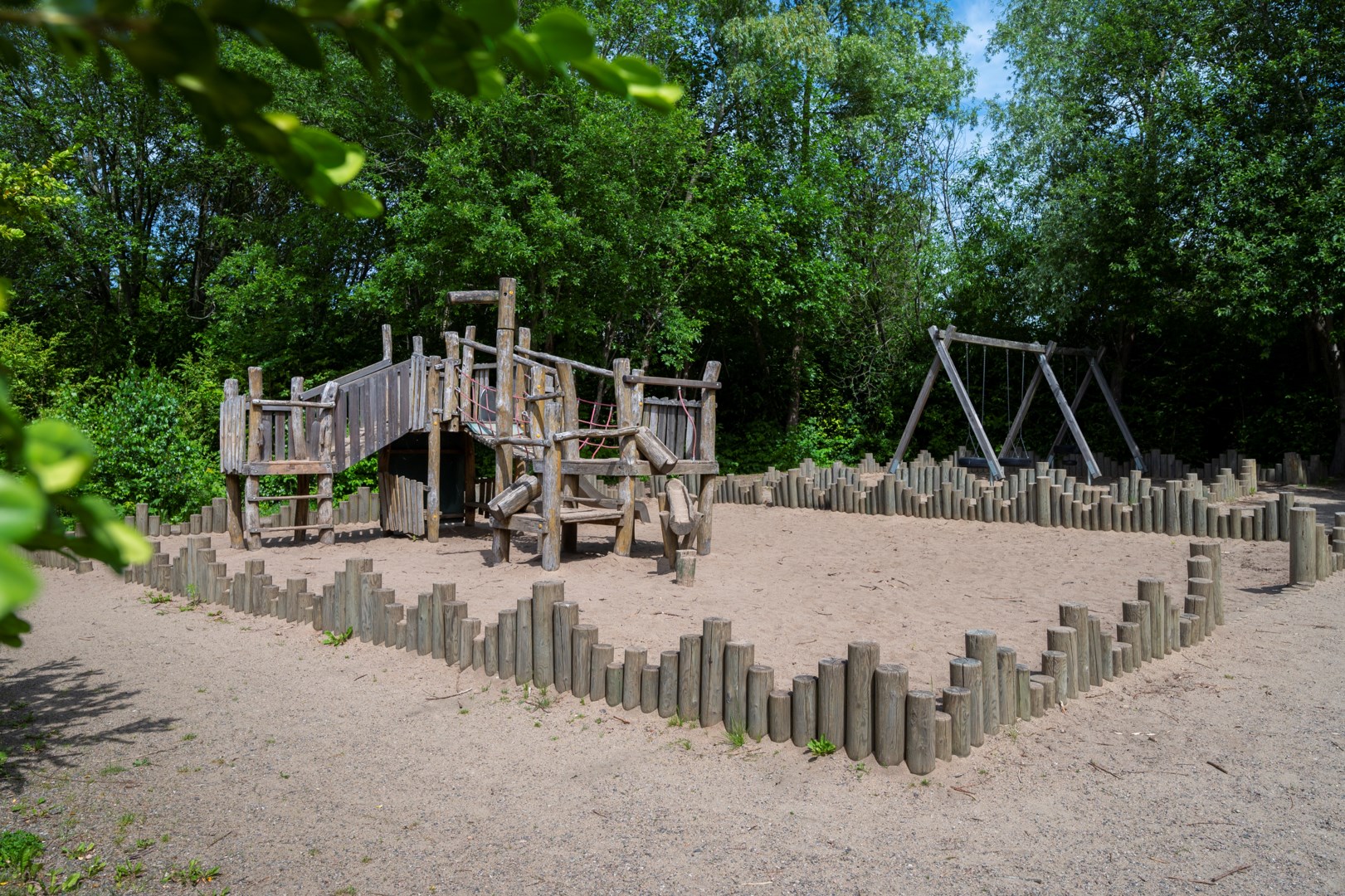 31