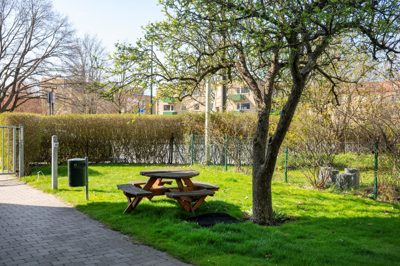 21