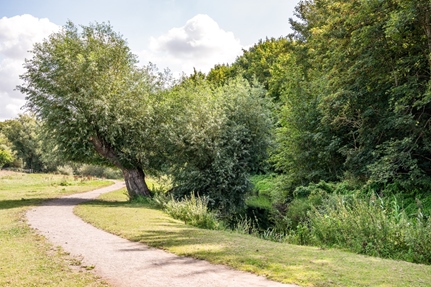 Bostadsrätt i Sankt Lars, Lund, Skåne, Åbrinksvägen 29
