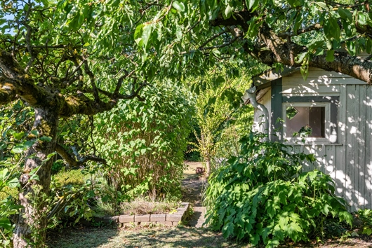 Fritidshus i Jutahusen, Lund, Skåne, Rådmansgatan 15 - kolonistuga