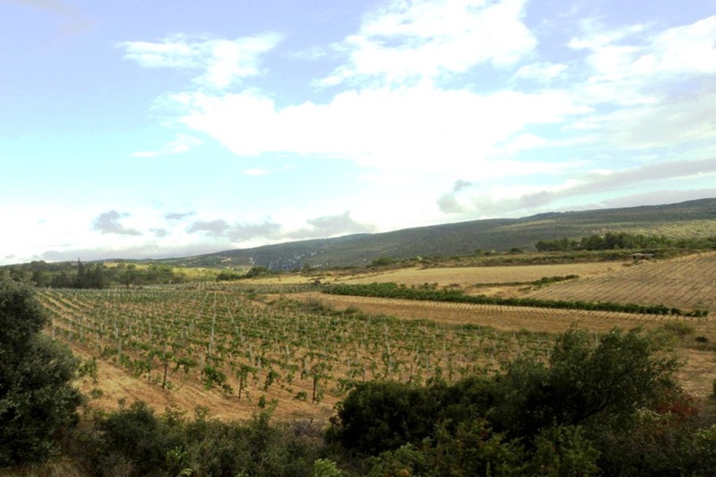 Gods och gårdar i Occitanie, Utlandet kommun, Frankrike, Minerve