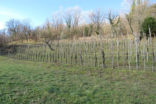 Villa i Toscana, La barca, lucca, Lucca, La Barca, Lucca