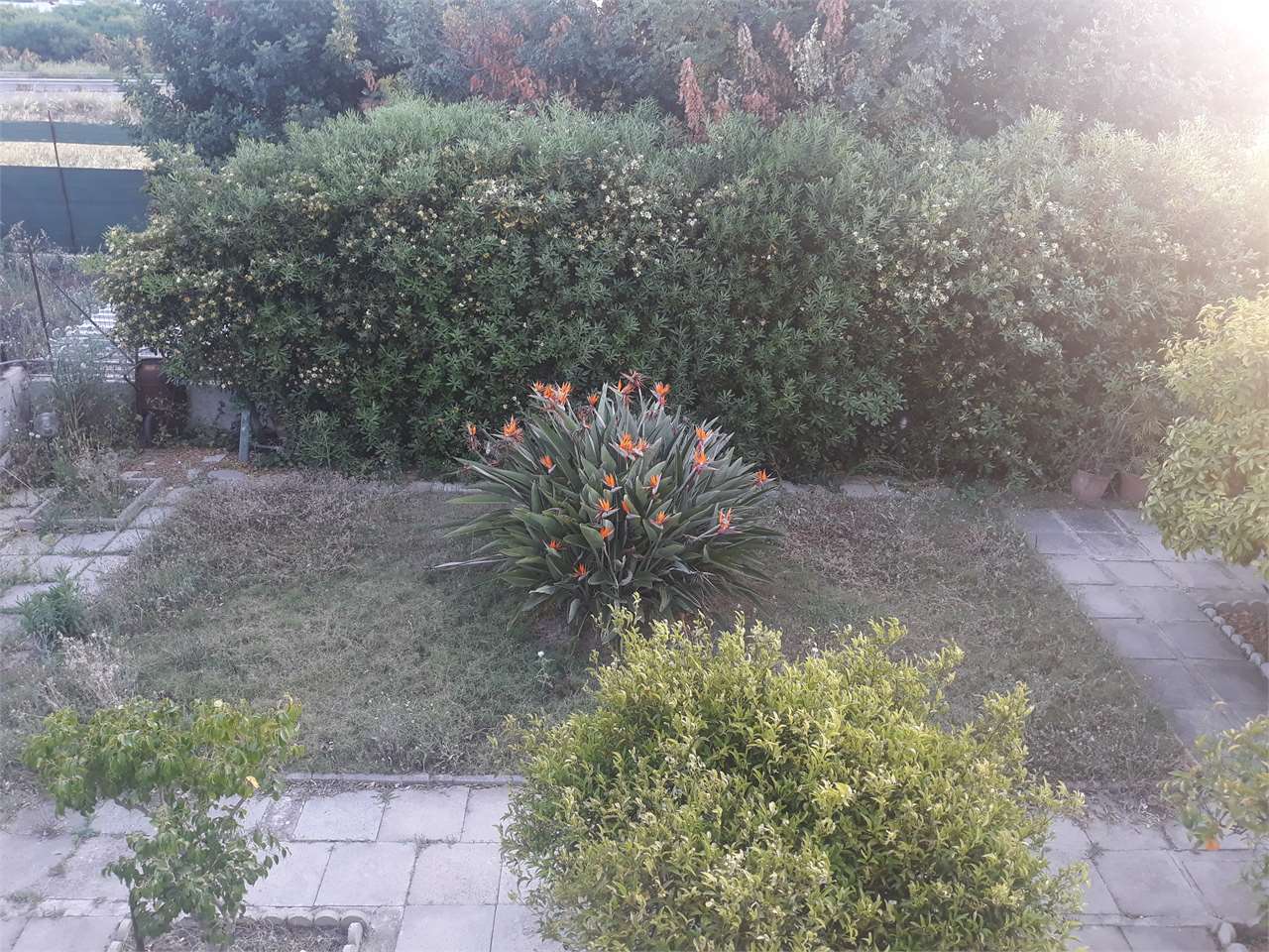 50