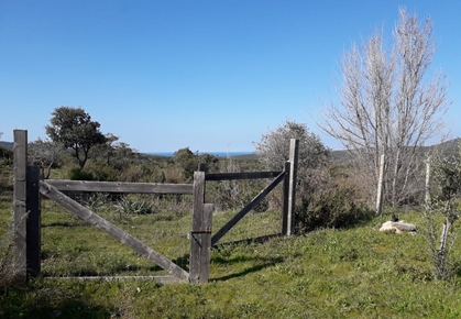 Villa i Sardinien, Sardigna/sardegna, Gallura, Trinità d’Agultu e Vignola