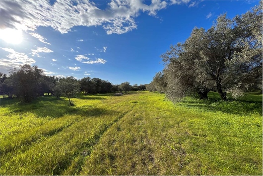 Villa i Quartucciu, Sardigna/sardegna, Casteddu/cagliari, Quartucciu