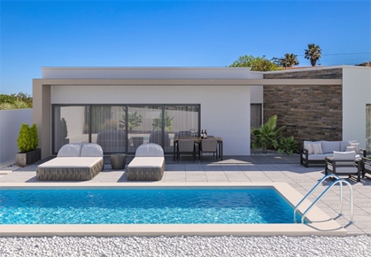 Villa i Silverkusten, Castelo branco, Salir do Porto