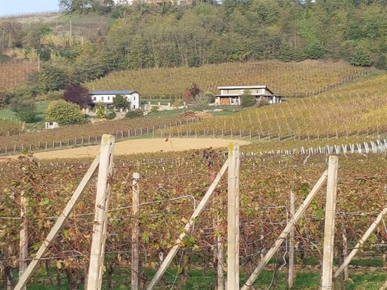 Villa i Piemonte, Acqui terme, Alessandria, Acqui Terme