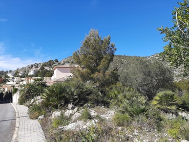 Villa i Alcalali, Comunitat valenciana, Alcalalí