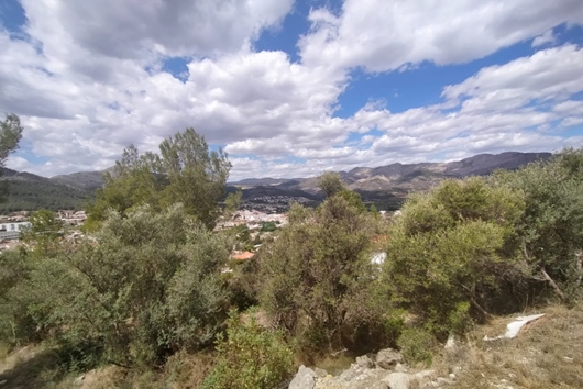 Villa i Orba, Comunitat valenciana, Orba