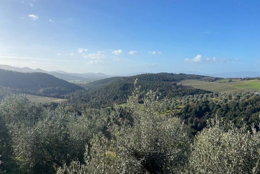 Villa i Toscana, Roccastrada, Grosseto, Roccastrada