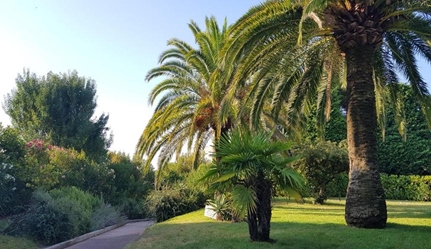 Ägarlägenhet i Franska rivieran, Antibes, Provencealpescote dazur, Alpesmaritimes, Antibes