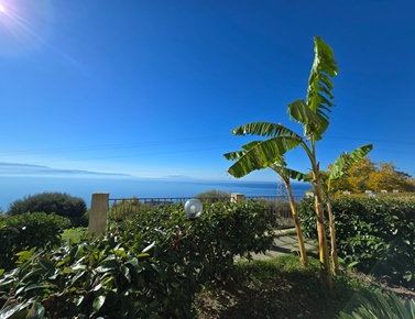 Ägarlägenhet i Kalabrien, Joppolo, vv, Calabria, Vibo valentia, Joppolo