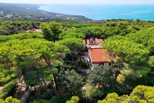 Villa i Toscana, Quarcinella, Quarcinella