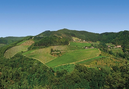 Villa i Toscana, Rufina, Firenze, Rufina