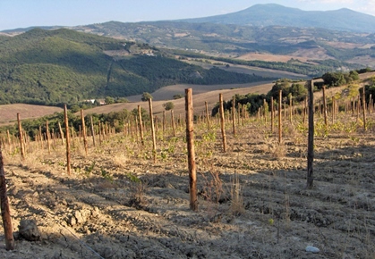 Villa i Toscana, Montalcino, Siena, Montalcino