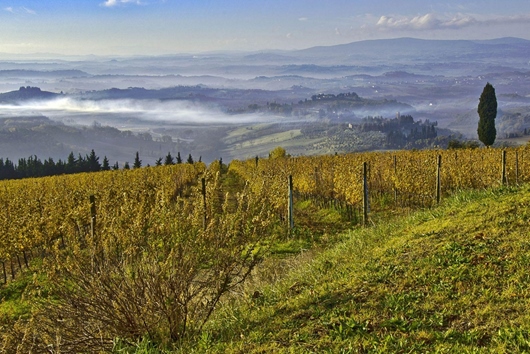 Villa i Toscana, Certaldo, Firenze, Certaldo