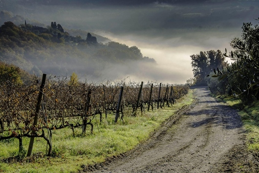 Villa i Toscana, Certaldo, Firenze, Certaldo
