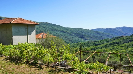 Villa i Borgomaro, Ligurien, Provincia di imperia, Borgomaro