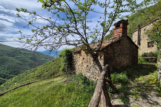 Villa i Pieve fosciana, Toscana, Lucca, Pieve Fosciana