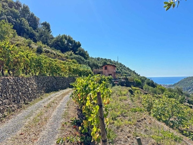 Villa i Vallebona, Viterbo, Lazio, Vallebona