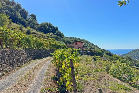 Villa i Vallebona, Viterbo, Lazio, Vallebona