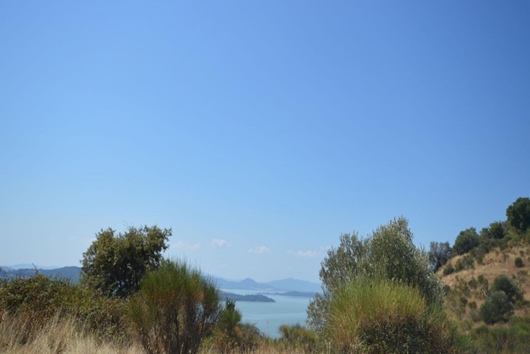 Tomt i Umbrien, Umbria, Passignano sul Trasimeno