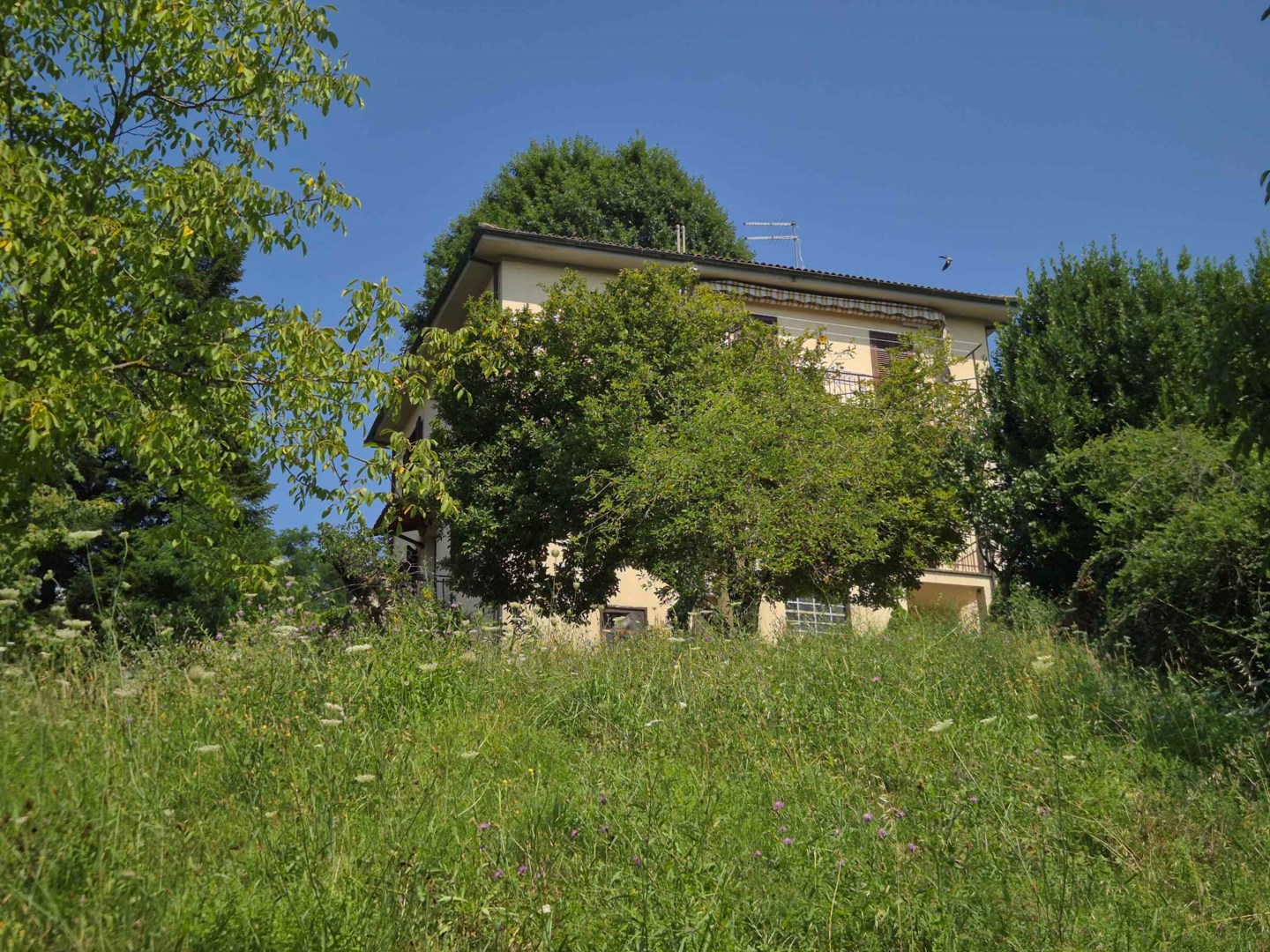 9