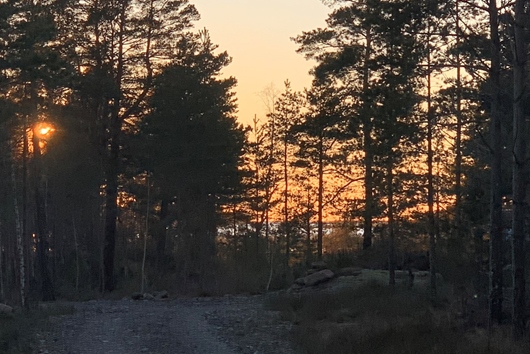 Tomt i Värmlandsnäs, Säffle, Tomt vid Vänerns skä